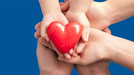 Hands holding a red heart - symbol of heart health care